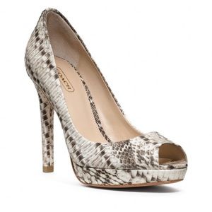 Coach Snakeskin Heel Pump